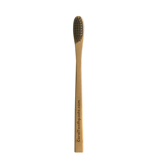 Natural and Organic Silver Bristle Bamboo Toothbrush - 1 Pack